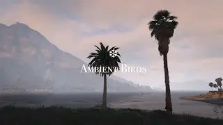 Nature Sounds | Ambient Birds | High Quality Audio