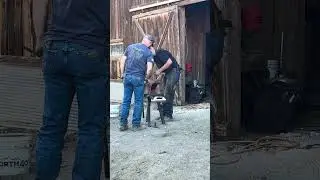 Troy Woods horseshoe forging 2024
