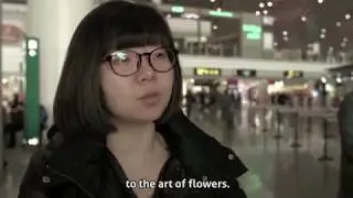 Themed Travel - China Outbound Travel Pulse - Episode 8