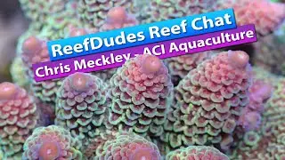 ReefDudes Saltwater Reef Chat with Chris Meckley from ACI Aquaculture