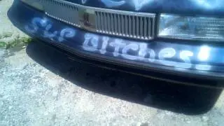 Epic Paint Job Fail