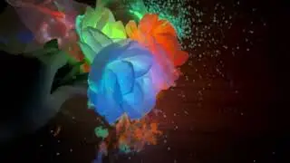 Give you the most beautiful fluorescent rose #chemistry #chemical experiment #bisoxalate