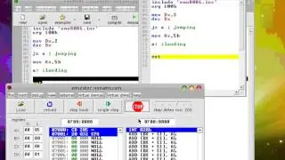 Conditional Jump JZ JNZ Emu8086