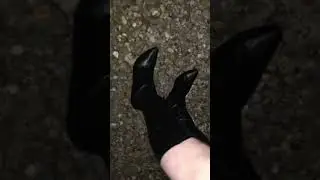 Heels on gravel tgirl fun