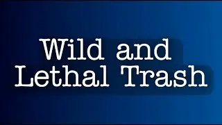 GoldLink&ndash; Wild And Lethal Trash ( Lyrics ) (Ft. Santigold)