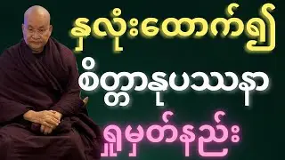 နှလုံးထောက်၍ စိတ္တာနုပဿနာ ရှုမှတ်နည်း 