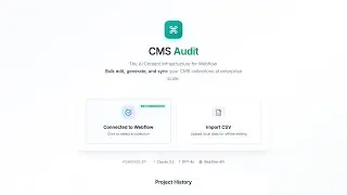 CMS AUDIT - Bulk Edit Webflow CMS Items Easily