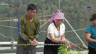 PHÓNG SỰ TIẾNG DAO: KỸ NĂNG NUÔI CÁ LỒNG TẠI KHU VỰC LÒNG HỒ THỦY ĐIỆN BẢN CHÁT