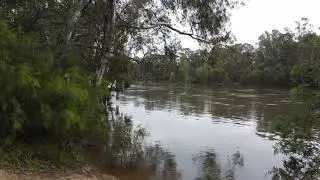 Drone Footage - DJI MINI SE - DJ NATDOG - Echuca Rising River Level