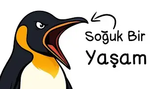 Eğer Bir Penguen Olarak Doğsaydın?