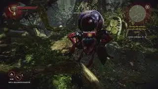 The Witcher 2 - The Endrega Contract: Destroy The Endrega Cocoons and Kill Their Queen Gameplay XSX