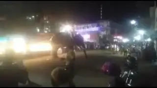 Elephant attack in perambra