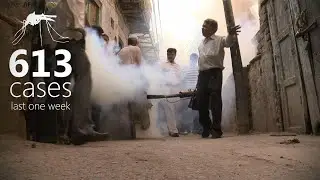 Dengue crisis: Delhi's worst outbreak in 5 years