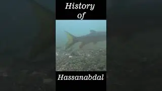Hassanabdal | True History | Historical City |