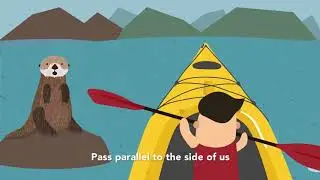 Sea Otter Savvy (Music Video)