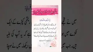 Reshmi romal mein farishta tasveer laya || B's Informative TV #shorts #short