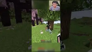 POV: Your Friend Has a Crush in Minecraft #shorts #psd1