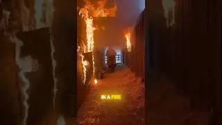 Babushka ran into a burning house?🔥🥹 #shorts #fire #animals #viral