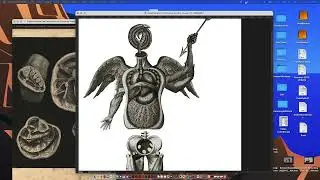 To the Origin of All Becoming: A timelapse of the creation of a Strong and Hardy digital collage