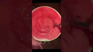 Seedless watermelon 🍉#seedless #watermelon #freshfruits #delicious #fruit #china #agriculture #