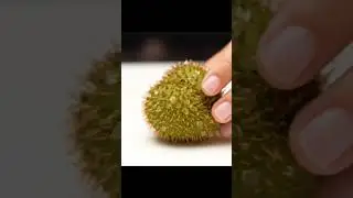 Marang Heart Fruit Cutting ASMR #asmr #satisfying #satisfyling #viralshort #asmrfruit #fruitcutting