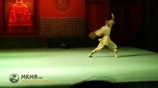 Shaolin Kung Fu Animal Styles - Snake Kung Fu - She Quan