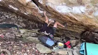 Shelf Awareness