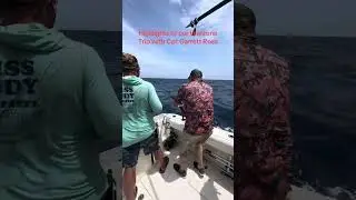 Trip recap. Savannah Sportfishing General Tournament 1. #aftco #hellyhansen #gofastpro #westmarine