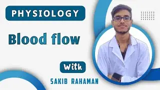 Blood flow | Total peripheral resistance | Poiseuille's law | CVS physiology bangla lecture