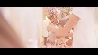 Sean + Vanessa Nebblett | 6.11.17 | Wedding Highlights