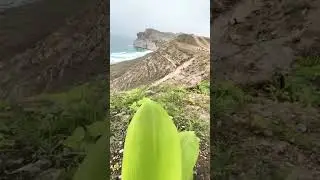the beautiful Salalah!  #oman #pakistani #summer #youtubeshorts #beautiful #holidays #mssaltnpepper