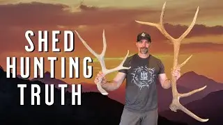 Stop Chasing Dates: The Science of Finding More Sheds