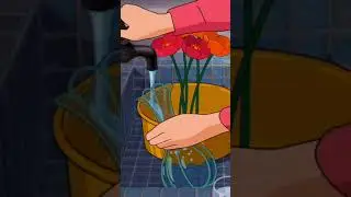 Relaxing anime scenes💫                      #youtubeshorts