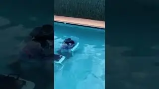Work in swimming pool | office work at home meme | top memes | #shorts #trending #viral #ytshorts