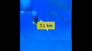 Facts shots about Blue whale || fact store || 2021