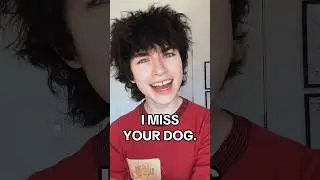 who needs a breakup song just tell ur dog i miss him !! #lgbtq #newmusic #originalsong #indie #trans