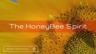 The Honeybee Spirit (Official Video)