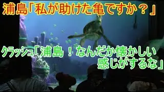 🔵【浦島太郎？】浦島！なんだか懐かしい感じがするな 【タートルトーク】東京ディズニーシー