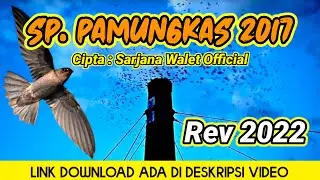 Download Gratis!!! DNA TERBUKTI Dari Ribuan Suara Walet Yang Ada Di Youtube