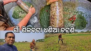 ବୋଉର ଧଣିଆ ଚଟଣି 😋 l ଚିତ୍ରୋତ୍ପଳା ନଦୀ କୂଳରେ ମଉସା l Dhania Chatani l Gouranga Nayak Odia Vlogs