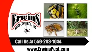 Erwins Pest Control, Inc. | Clovis CA Pest Control