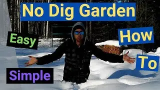 No Dig Garden!! How To.  Simple Easy Cheap.