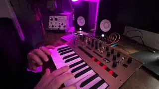 Wild Synth Jam on Korg Monologue + EP-133 KO II & Roland J-6 🔥 Live Improv