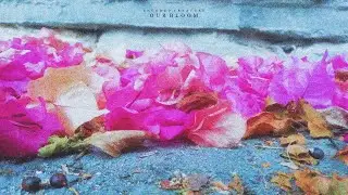 Encoded Creature - Our Bloom (Official Lyrics)