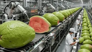 Inside a Modern US Guava Factory: From Fresh Guavas to Pink Guava Nectar (FULLPROCESS)
