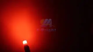 T10 W5W 194 168 2825 Light Bulbs 158 175 Trunk Lamp Car Dome Map Lights Side Marker Lamps