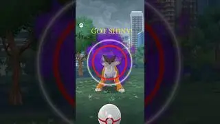 Defeating Geovani team rocket Raid got Shiny Raikou. #pokemon #pokemongo #pok&eacute;mon #pokemonindonesia