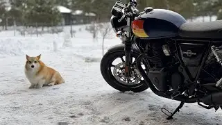 Brand New Royal Enfield Interceptor 650 (2026) Barcelona Blue - Walkaround + Cold Start