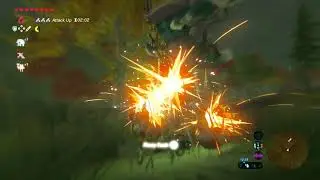 Breath of the wild,3 flurry rush capture against Sword wielding Lyenl.