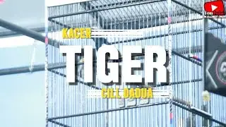 KACER 